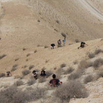 Hiking in Israel